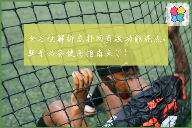 全方位解析虎扑网页版功能亮点，新手必备使用指南来了！