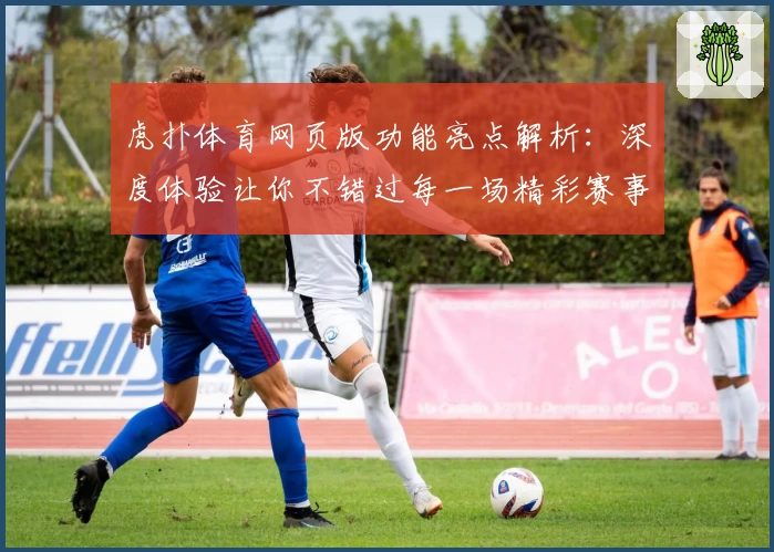 虎扑体育网页版功能亮点解析：深度体验让你不错过每一场精彩赛事